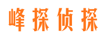 友谊市调查公司